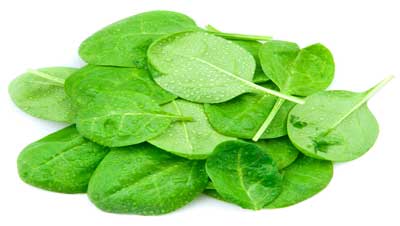 Cadmium contamination in spinach